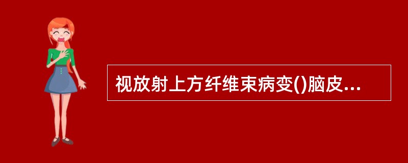 视放射上方纤维束病变()脑皮质疾患()视交叉后视束病变()距状裂下唇病变()视交