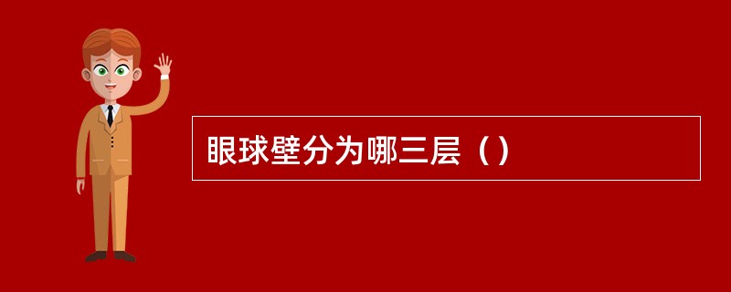 眼球壁分为哪三层（）
