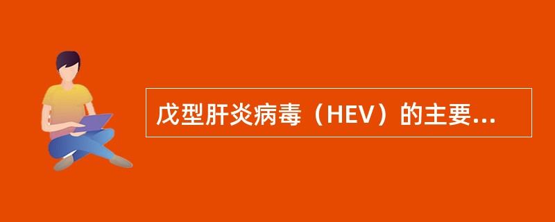 戊型肝炎病毒（HEV）的主要传播途径是（）