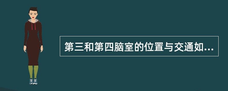 第三和第四脑室的位置与交通如何？