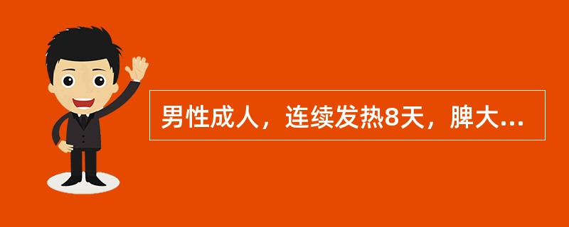 男性成人，连续发热8天，脾大。血白细胞数低于正常值，中性粒细胞0.56，淋巴细胞