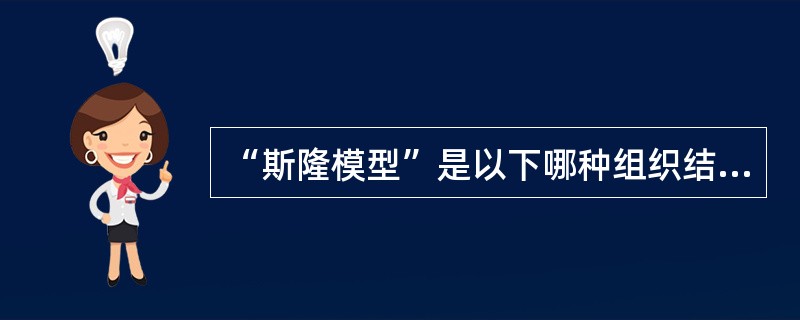 “斯隆模型”是以下哪种组织结构的别称（）