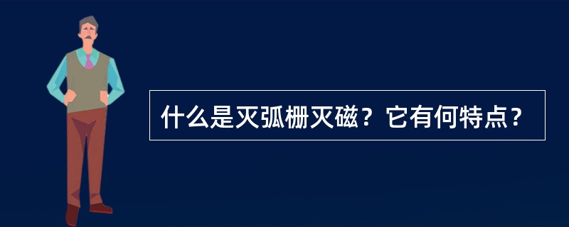 什么是灭弧栅灭磁？它有何特点？