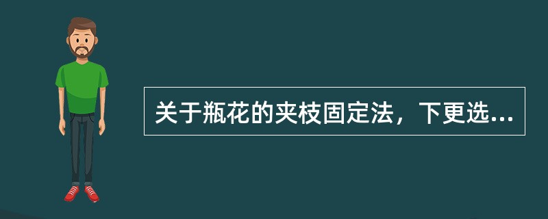 关于瓶花的夹枝固定法，下更选项中正确的是（）。