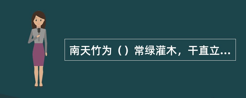 南天竹为（）常绿灌木，干直立，少分枝。叶互生，二至三回羽状复叶，小叶椭圆状披针形