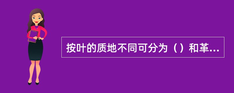 按叶的质地不同可分为（）和革质叶。