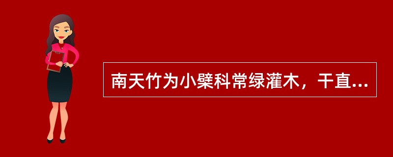 南天竹为小檗科常绿灌木，干直立，少分枝。叶互生，（），小叶椭圆状披针形，薄革质，