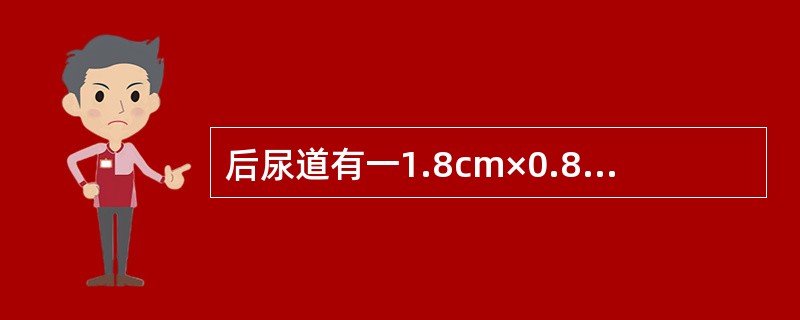 后尿道有一1.8cm×0.8cm结石影，患者排尿困难，最佳治疗方案应是()