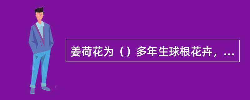 姜荷花为（）多年生球根花卉，高可达70cm。