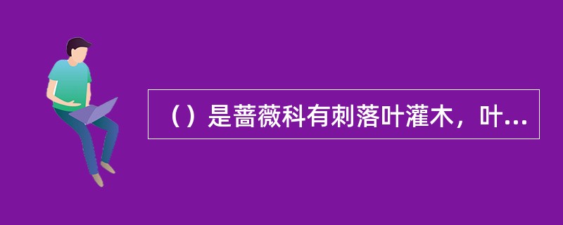 （）是蔷薇科有刺落叶灌木，叶互生，奇数羽状复叶，花单生或排成伞房花序