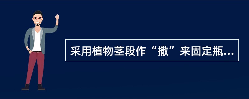 采用植物茎段作“撒”来固定瓶花花材的方法，其主要原理是借用花枝与（）、瓶底之间的