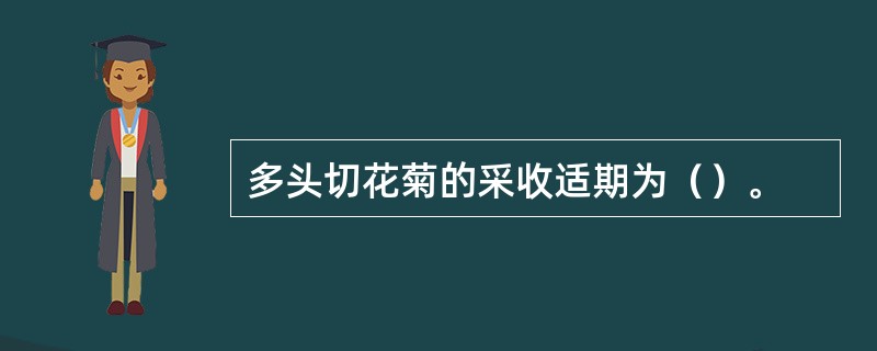 多头切花菊的采收适期为（）。