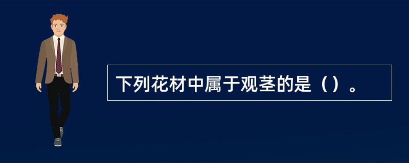 下列花材中属于观茎的是（）。