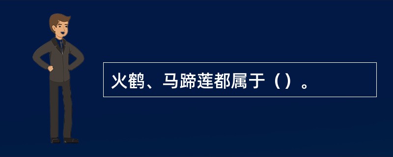 火鹤、马蹄莲都属于（）。