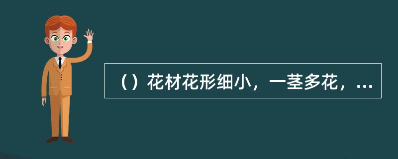 （）花材花形细小，一茎多花，给人以娇小玲珑或梦幻的感觉。多插在大花之间填空，增加