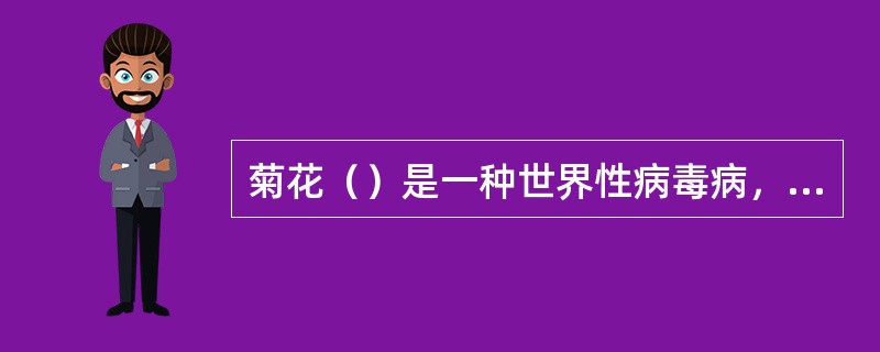 菊花（）是一种世界性病毒病，危害性极大。此病对菊花的产量及品质影响很大。