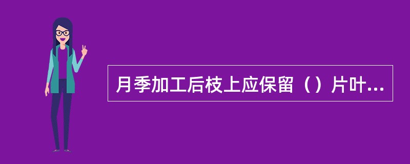 月季加工后枝上应保留（）片叶子比较好。