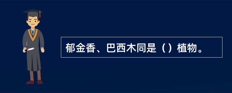 郁金香、巴西木同是（）植物。