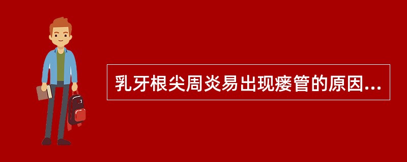 乳牙根尖周炎易出现瘘管的原因是（）。