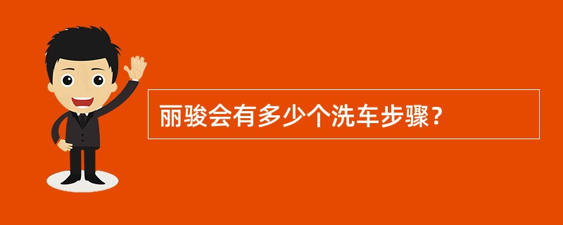 丽骏会有多少个洗车步骤？
