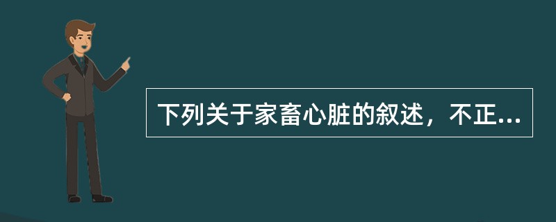 下列关于家畜心脏的叙述，不正确的是（）。