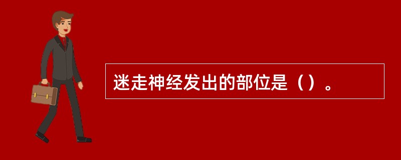 迷走神经发出的部位是（）。