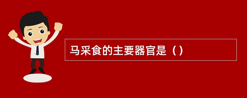 马采食的主要器官是（）