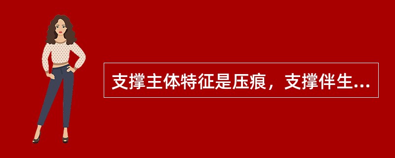 支撑主体特征是压痕，支撑伴生特征有（）