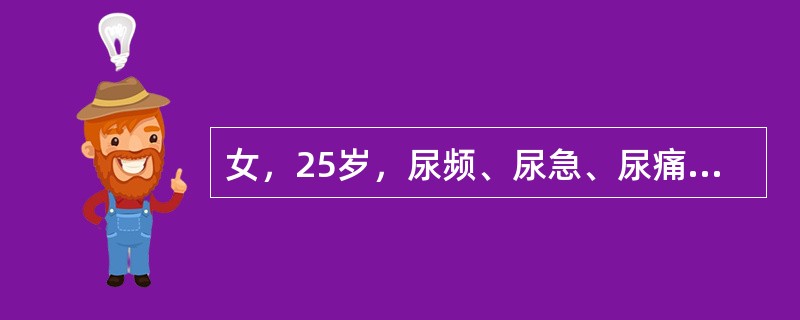 女，25岁，尿频、尿急、尿痛伴发热腰痛，尿常规白细胞4～10个/HP，尿培养2次