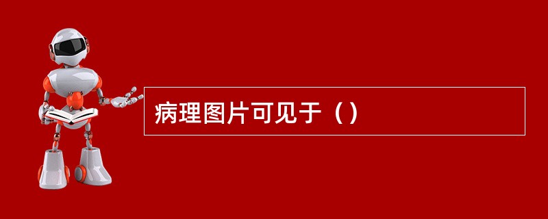 病理图片可见于（）