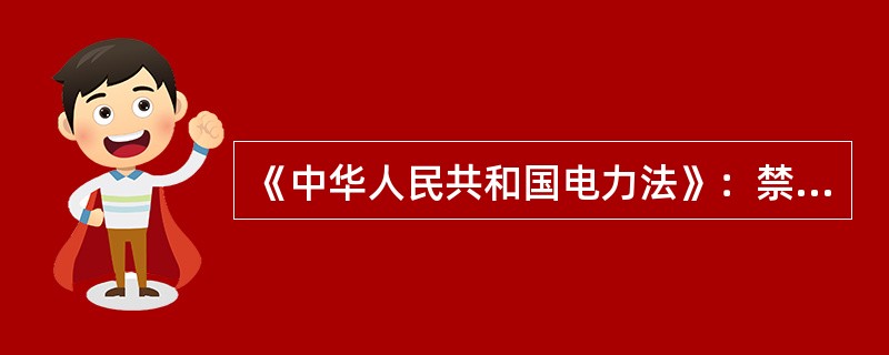 《中华人民共和国电力法》：禁止任何单位和个人危害电力设施安全或者非法侵占、使用电