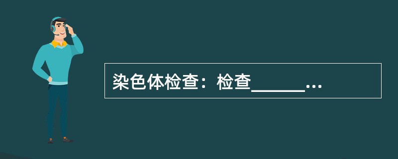 染色体检查：检查_________，主要检查_________、________