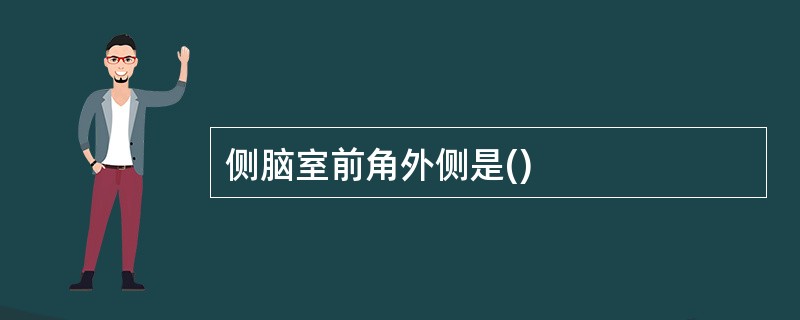 侧脑室前角外侧是()