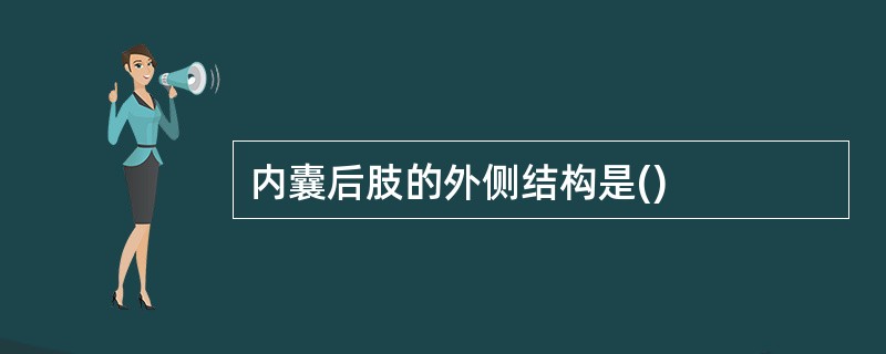 内囊后肢的外侧结构是()