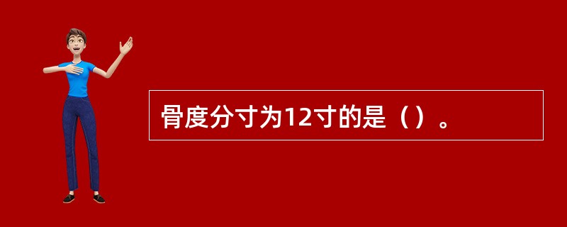 骨度分寸为12寸的是（）。