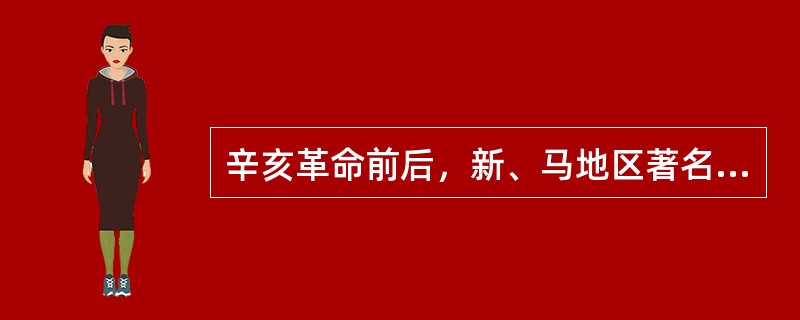 辛亥革命前后，新、马地区著名的华文报纸有：（）