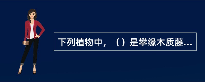 下列植物中，（）是攀缘木质藤本植物。