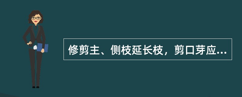 修剪主、侧枝延长枝，剪口芽应选在（）