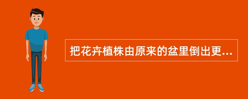 把花卉植株由原来的盆里倒出更换土壤后，重新栽植于另一盆中的工作叫（）。