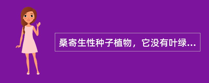 桑寄生性种子植物，它没有叶绿素，没有根，有茎，有叶子。