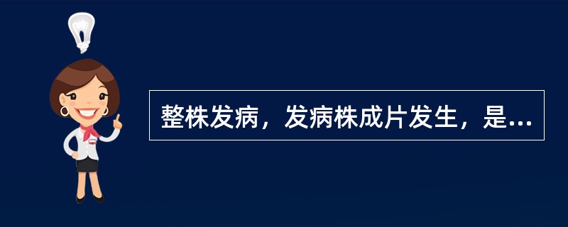 整株发病，发病株成片发生，是病毒性病害。