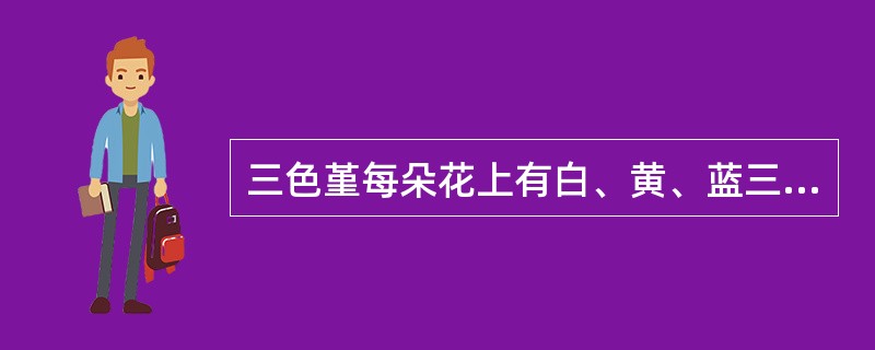 三色堇每朵花上有白、黄、蓝三色。