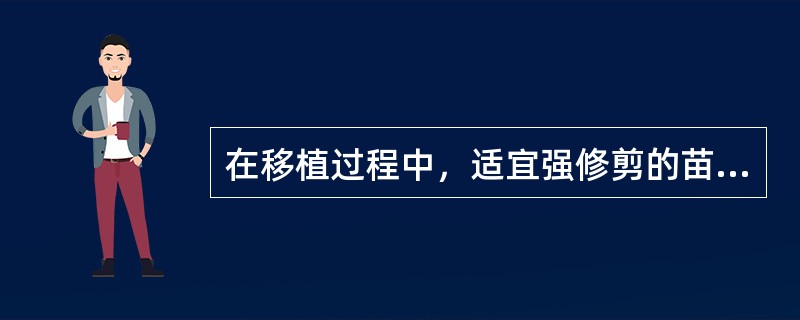 在移植过程中，适宜强修剪的苗木是（）。