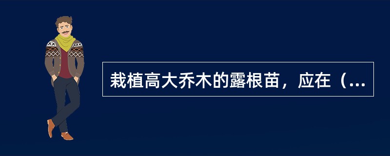 栽植高大乔木的露根苗，应在（）之前进行修剪工作。