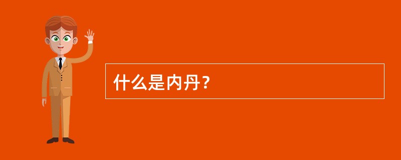 什么是内丹？