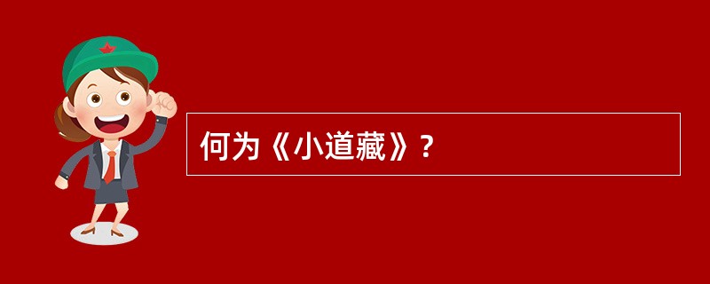 何为《小道藏》？