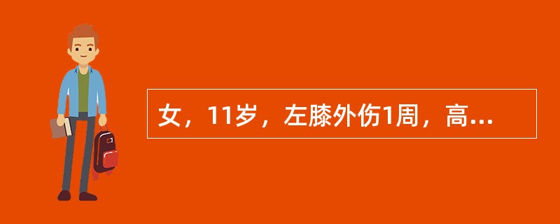 女，11岁，左膝外伤1周，高热4天，膝关节疼痛且活动受限，左胫骨上端明显深压痛，