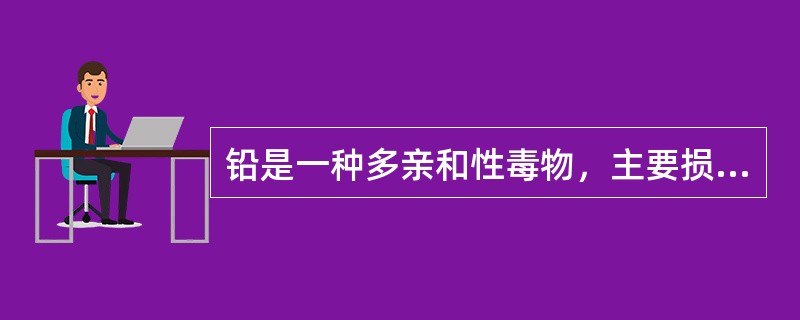 铅是一种多亲和性毒物，主要损害（）。