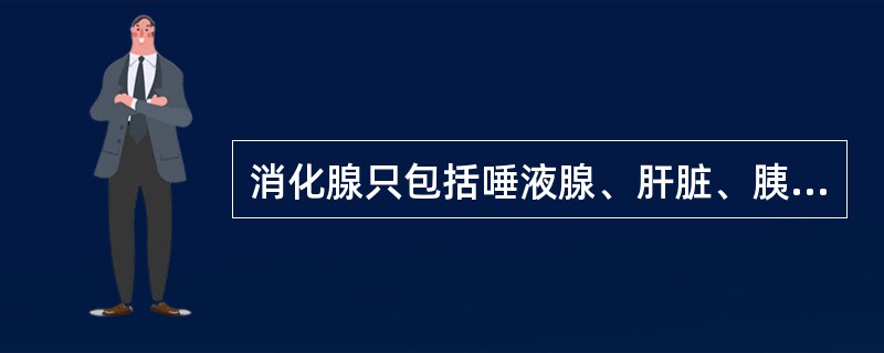 消化腺只包括唾液腺、肝脏、胰腺。（）