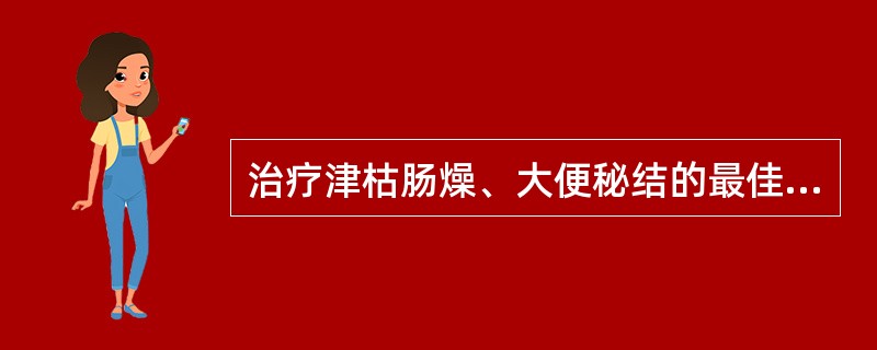 治疗津枯肠燥、大便秘结的最佳药组是